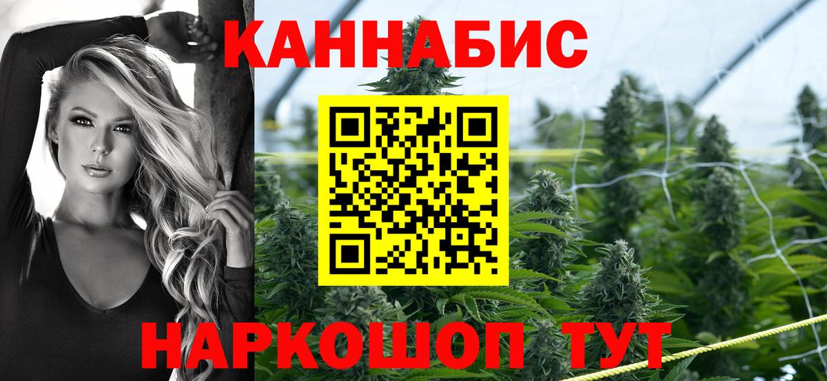 Котлас  Канабис THC 21%  Вход с VPN  Бошки марихуана планчик  Бошки марихуана план 